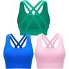 RUNNING GIRL Sports Bra for Women High Support, Criss-Cross Back Padded Strappy Sports Bras Yoga Bra with Removable Cups(1-blue+pink+green)